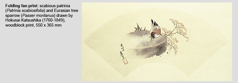 Hokusai Folding Fan Print